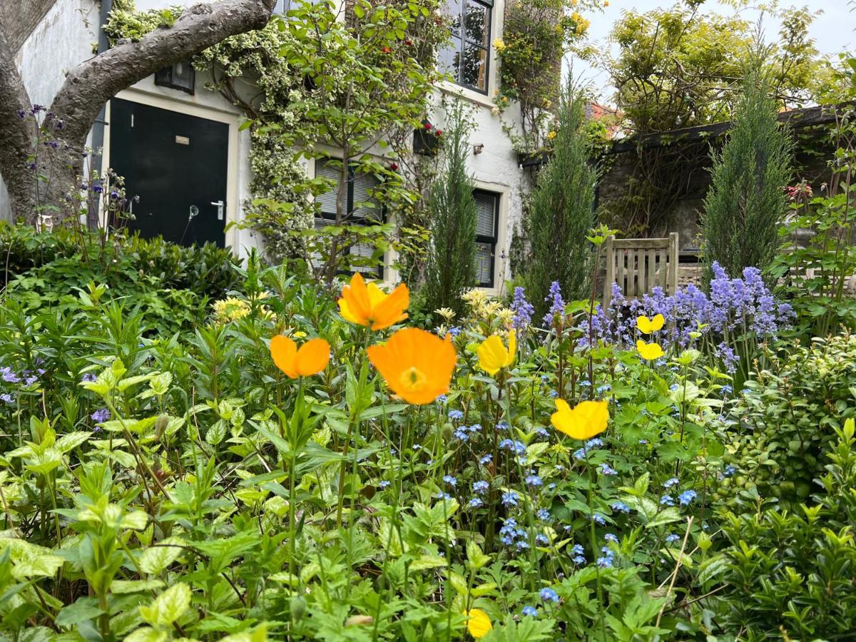 Apple Tree Cottage - Charming Home At Beautiful Canal In Our Idyllic Garden Gouda Exteriér fotografie