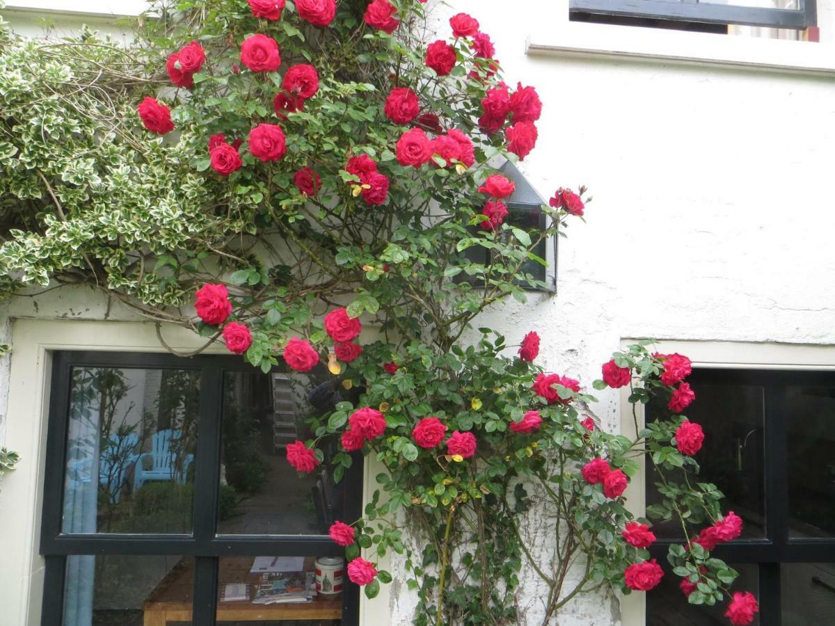 Apple Tree Cottage - Charming Home At Beautiful Canal In Our Idyllic Garden Gouda Exteriér fotografie